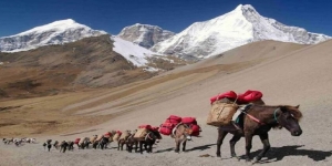 Druk path trek